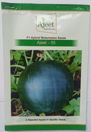 Watermelon Ajeet-55 (गोल काळे कलिंगड) 10 Gm