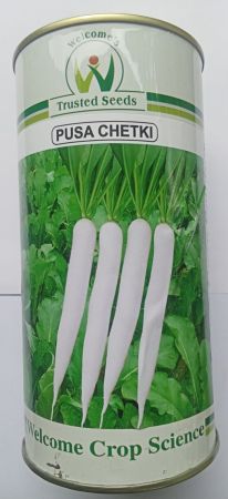 Radish Pusa chetaki Welcome 500 gm