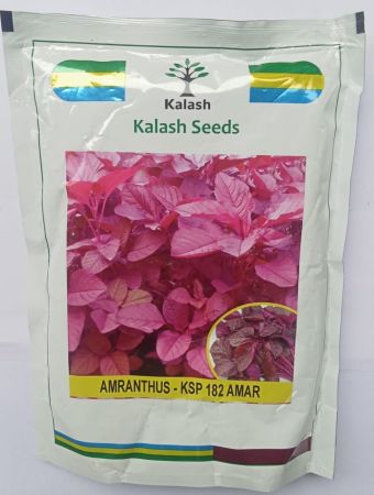 लाल माठ ५०० ग्राम