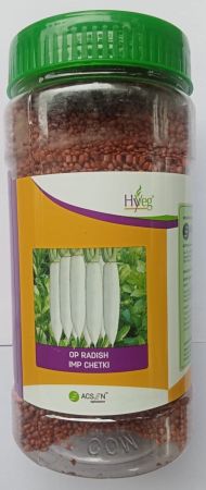 Radish IMP Chetaki  (मुळा)